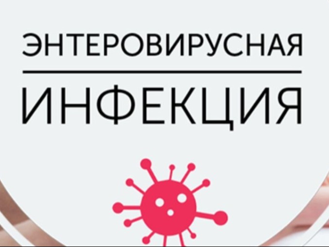 Горячая линия по вопросам профилактики энтеровирусной инфекции.